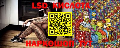 PSILOCYBIN Будённовск