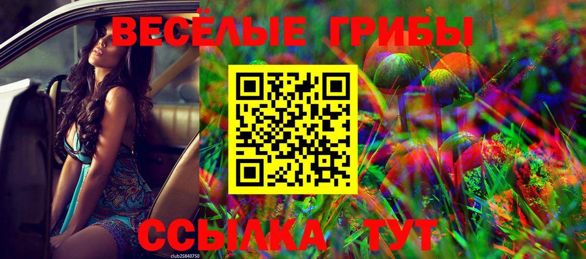 Псилоцибиновые грибы Magic Shrooms Новочебоксарск